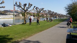 IMG_20160502_162953