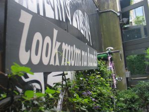 img_1741