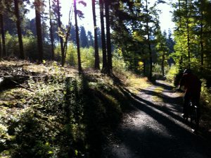 img_2446
